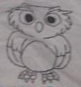 owl shirt from Jayme